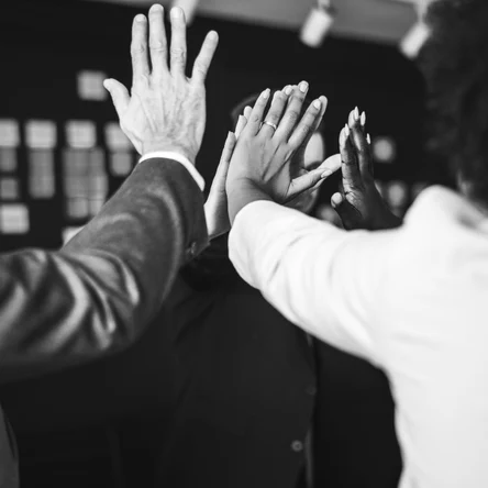 Тренинг командообразования